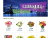 shopify-website-slide5