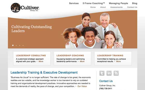 Website design and development for consulting firm