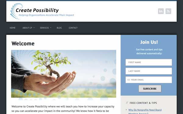 Responsive website theme customizations for San Diego nonprofit consultant