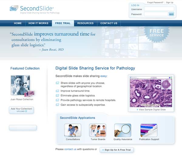 Website design for medical software company