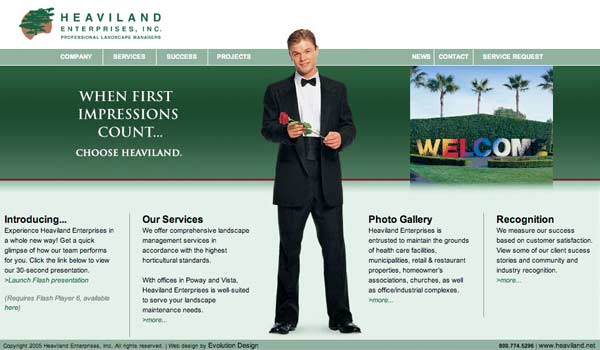 Original website design for Vista landscape maintenance contractor